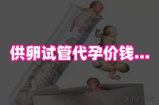 厦门助孕网站 2