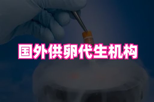 厦门助孕网站 4